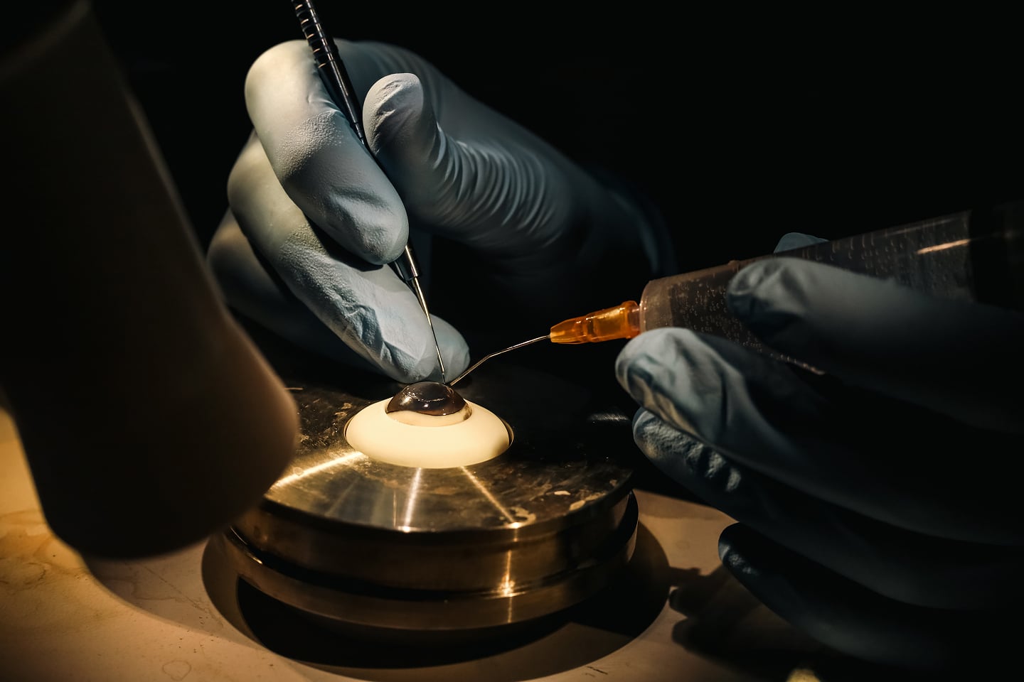 WETLAB
